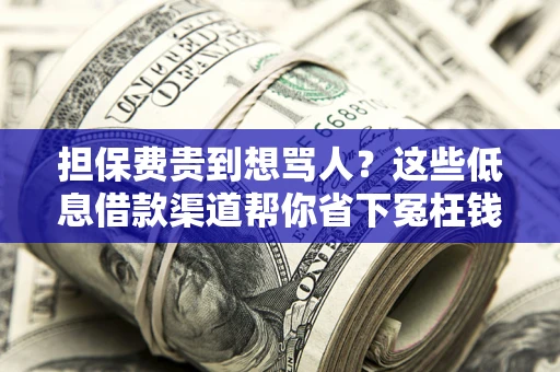 北京担保费贵到想骂人？这些低息借款渠道帮你省下冤枉钱