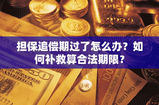 北京担保追偿期过了怎么办？如何补救算合法期限？