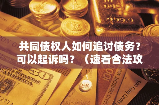 北京共同债权人如何追讨债务？可以起诉吗？（速看合法攻略）